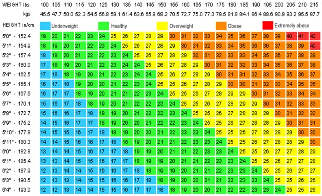 BMI Chart - Medical Chart Help